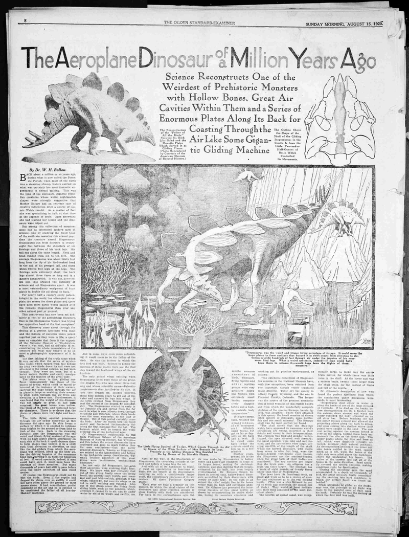 Illustration for article titled In the 1920s, Stegosaurus had the ability to fly like a hang glider